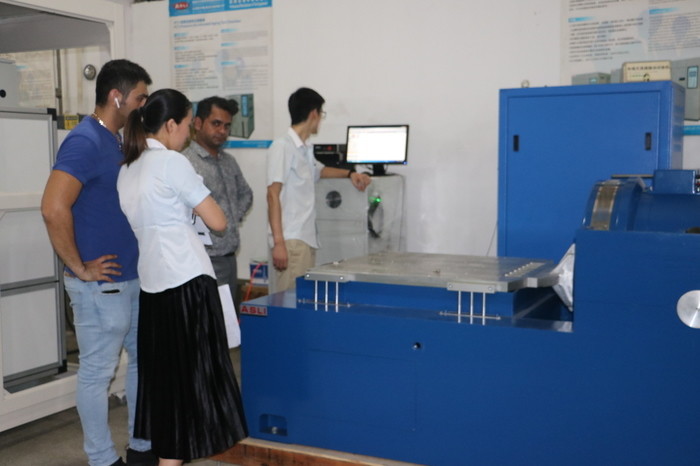 Sine and Random Large Displacement Vibration Test System with ...
